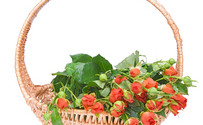 Gifts for Diabetics – What’s Best?